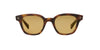 Garrett Leight Ace Sun 2081