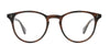 #colour_spotted-brown-shell