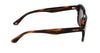 #colour_shiny-striped-brown-green
