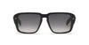 #colour_shiny-black-grey