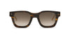 #colour_shiny-sriped-brown-havana-brown-gradient