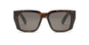 #colour_shiny-dark-havana-grey-green