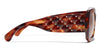 #colour_dark-tortoise-brown-gradient-polarised
