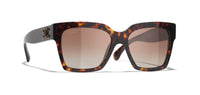 #colour_brown-havana-brown-gradient-polarised
