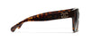 #colour_brown-havana-brown-gradient-polarised