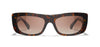 #colour_brown-havana-brown-gradient-polarised