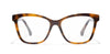 #colour_tortoise-orange