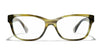 #colour_green-tortoise