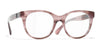 #colour_pink-tortoise