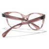 #colour_pink-tortoise