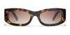 #colour_tortoise-brown-gradient-polarised