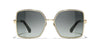 #colour_pale-gold-grey-gradient-polarised
