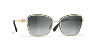 #colour_pale-gold-grey-gradient-polarised