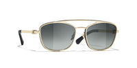 #colour_pale-gold-grey-gradient-polarised