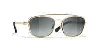 #colour_pale-gold-grey-gradient-polarised