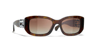 #colour_dark-havana-brown-gradient-polarised