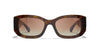 #colour_dark-havana-brown-gradient-polarised