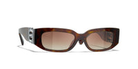 #colour_dark-havana-brown-gradient-polarised
