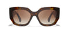 #colour_dark-havana-brown-gradient