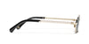 #colour_pale-gold-grey-gradient-polarised