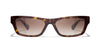 #colour_dark-havana-brow-gradient