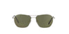 Serengeti Lunger Shiny Silver/Green Mirror #colour_shiny-silver-green-mirror