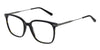#colour_black-tortoise
