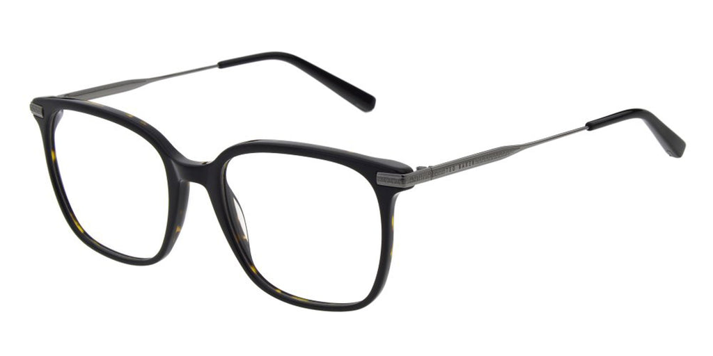 #colour_black-tortoise
