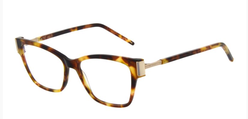 #colour_tortoise