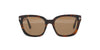 #colour_dark-havana-brown-polarised