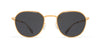 #colour_glossy-gold-dark-grey-solid