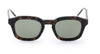 #colour_brown-tortoise-green