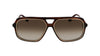 #colour_brown-horn-brown-gradient