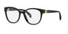 #colour_shiny-black