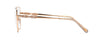 #colour_shiny-copper-gold