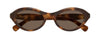 #colour_havana-brown