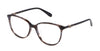 #colour_shiny-striped-blue-brown