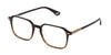 #colour_shiny-striped-brown