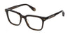 Philipp Plein VPP015M Shiny Dark Havana #colour_shiny-dark-havana