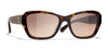 #colour_dark-tortoise-brown-gradient