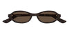 Alexander McQueen AM0559S #colour_havana/brown