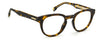 Carrera 250 Dark-Tortoise #colour_dark-tortoise