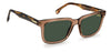 Carrera 251/S Brown/Green #colour_brown-green