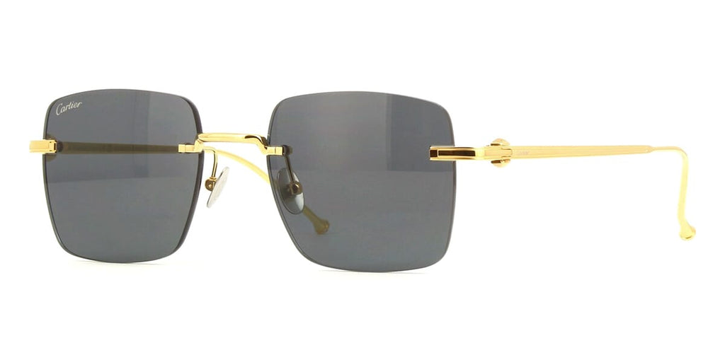 Cartier CT0403S #colour_shiny gold/grey