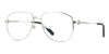Cartier CT0484O#colour_shiny-silver