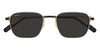 Cartier CT0497S#colour_gold-grey