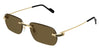 Cartier CT0498S#colour_gold-brown