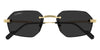 CartierCT0616S#colour_gold-darkgrey