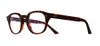 #colour_dark-tortoise