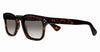 #colour_dark-turtle-brown